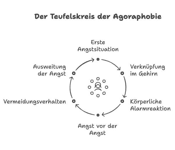 Eine Grafik zeigt den Teufelskreis der Agoraphobie: Erste Angstsituation führt zu Verknüpfung im Gehirn, körperlicher Alarmreaktion, Angst vor der Angst, Vermeidungsverhalten und Ausweitung der Angst.