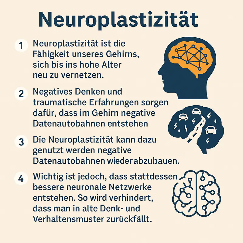 Infografik zur Neuroplastizität mit vier Punkten über die Gehirnvernetzung, den Abbau negativer Muster und neue neuronale Netzwerke