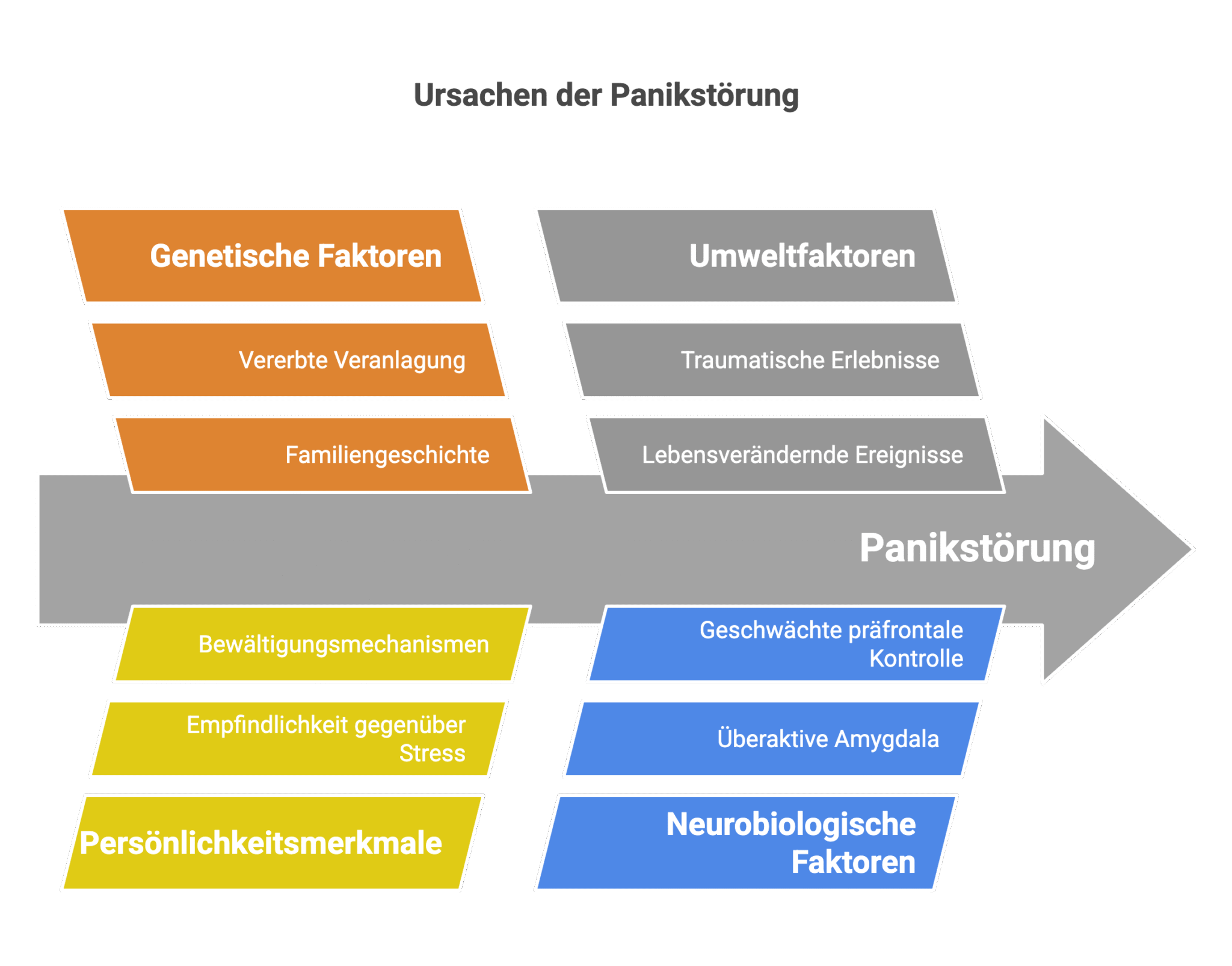 Infografik zeigt Ursachen einer Panikstörung wie genetische Faktoren, Umweltfaktoren, Persönlichkeitsmerkmale und neurobiologische Prozesse.